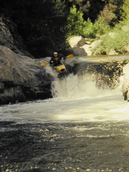 Yaking it up.